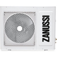 ZACO/I-42 H5 FMI/N1